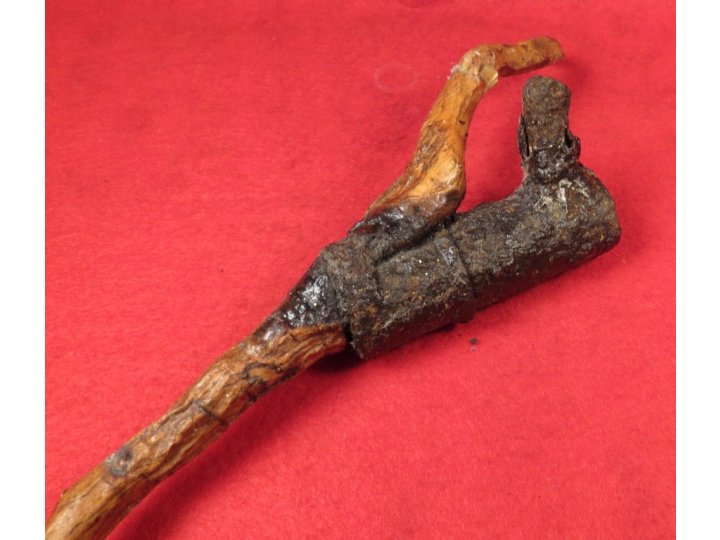 Bayonet Socket Recovered with Tree Root