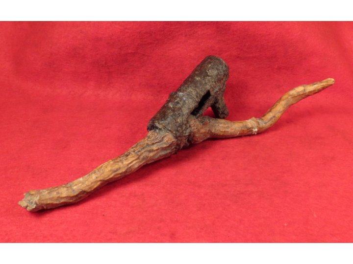 Bayonet Socket Recovered with Tree Root