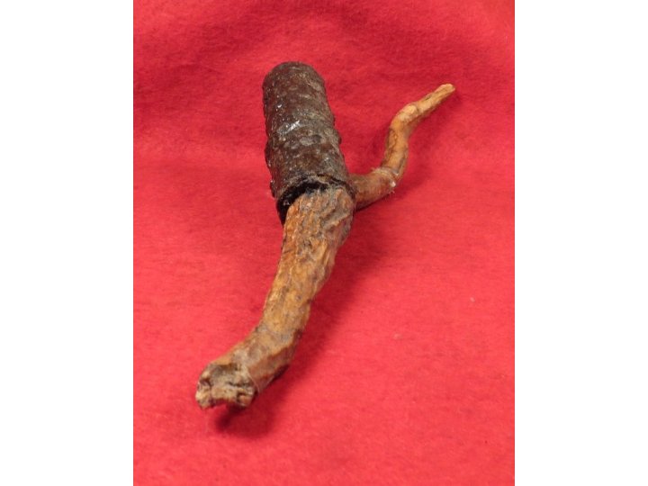 Bayonet Socket Recovered with Tree Root