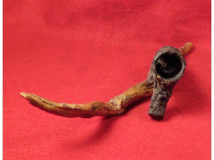 Bayonet Socket Recovered with Tree Root