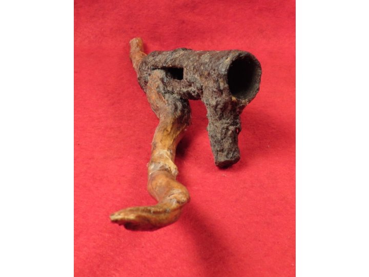 Bayonet Socket Recovered with Tree Root