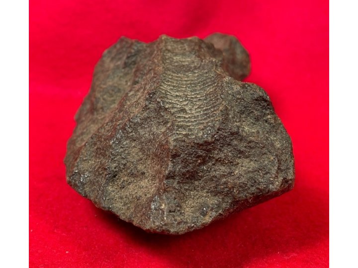 Heavy Artillery Conical Shell Nose Fragment Fuze Threads